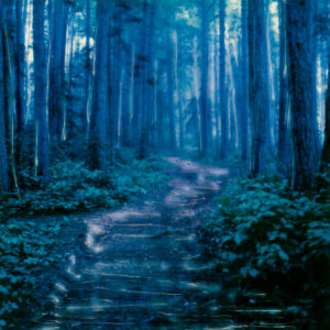 Off Leash Forever © Lorraine Parow