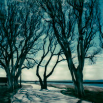 Reflection © Lorraine Parow