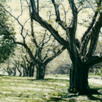 Falling For You © Lorraine Parrow