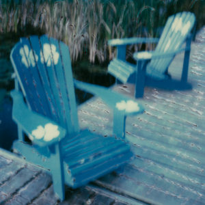 Life Companions © Lorraine Parow