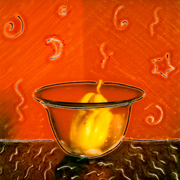 Cinderella’s Coach © Lorraine Parow