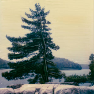 Ode To The Group Of Seven © Lorraine Parow