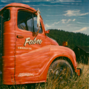 Old Red © Lorraine Parow