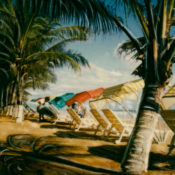 Put d’lime in d’coconut © Lorraine Parow