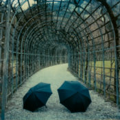 Castle Grounds © Lorraine Parow