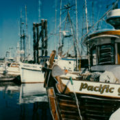 Twinkling Of Bells In The Harbour © Lorraine Parow