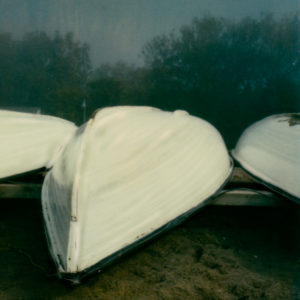 Foggy Morning © Lorraine Parow