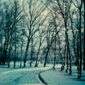 Crispy Fresh © Lorraine Parow