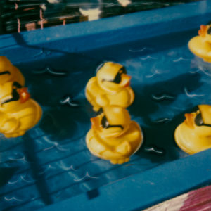 Hanging Out © Lorraine Parow