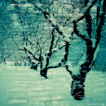 Snowy Enchanted Forest © Lorraine Parow