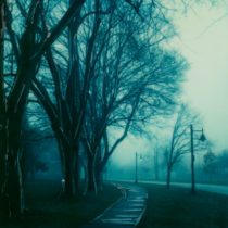 Misty © Lorraine Parow