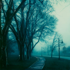 Misty © Lorraine Parow