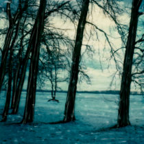 Gone Snowshoeing © Lorraine Parow