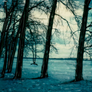 Gone Snowshoeing © Lorraine Parow