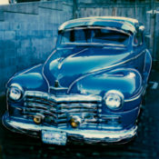 Ol’ Blue Eyes © Lorraine Parow