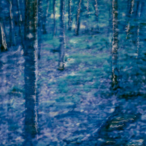 Ethereal Ancestors © Lorraine Parow